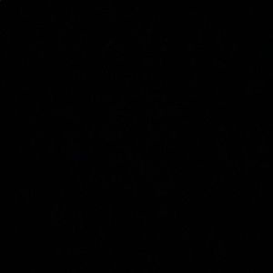 Meet your Posher, Isabel